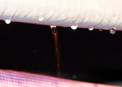 Water drip with camera shake