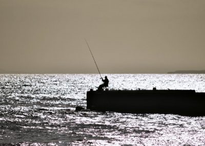Silhouette of man fishing in the sea